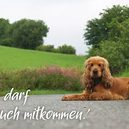 Am בית נופש *