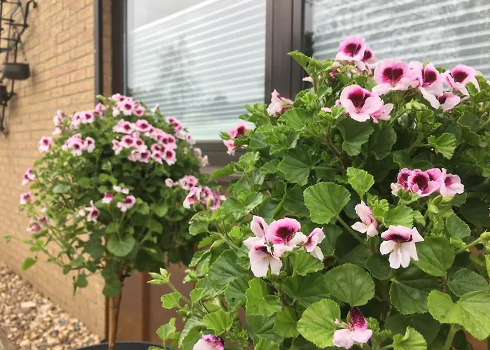 Am Feriehus Wettringen (North Rhine-Westphalia)